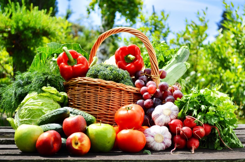 Камбоджа переходить з рису на вирощування овочів Камбоджа переходить з рису на вирощування овочів