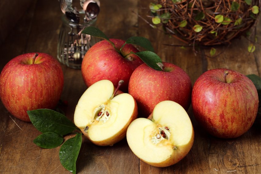 50 тисяч яблук були викрадені з саду американського фермера 50 тисяч яблук були викрадені з саду американського фермера