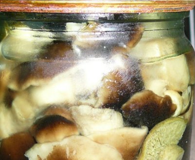 Рецепт соління рядовки