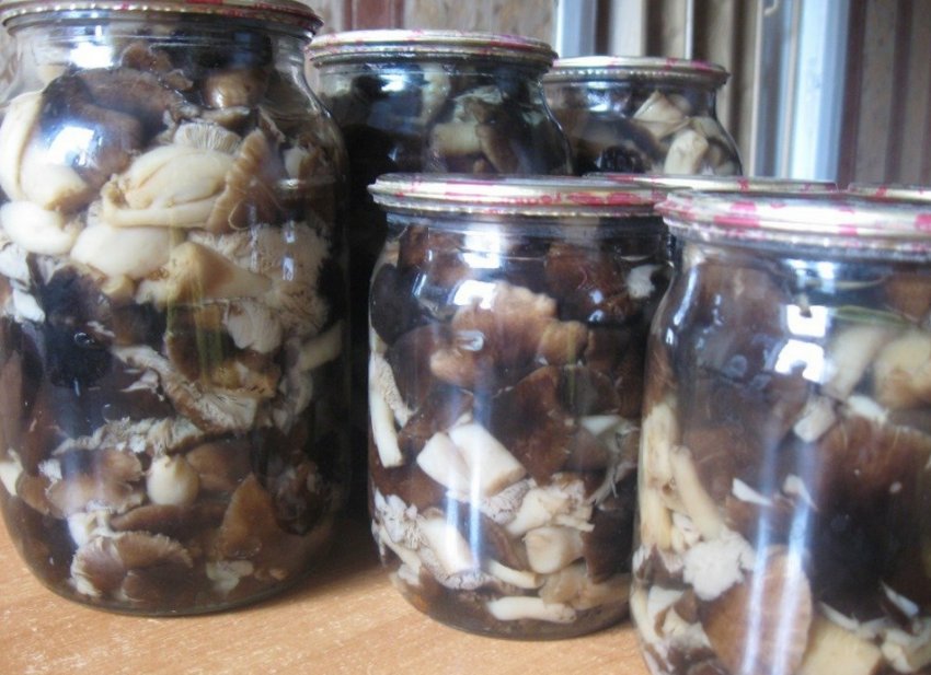 Засолювання рядовок