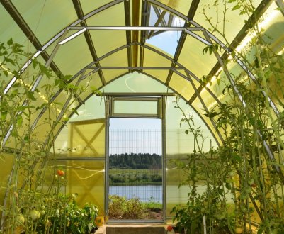 Ставропольський виробник вдвічі збільшує площу теплиць