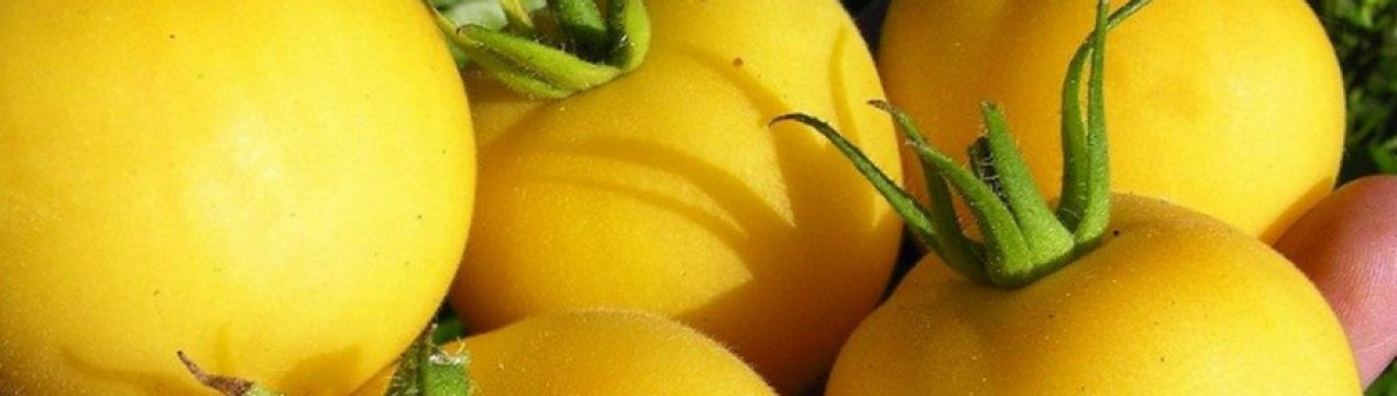 Помидоры «Персик»: характеристика, особенности выращивания