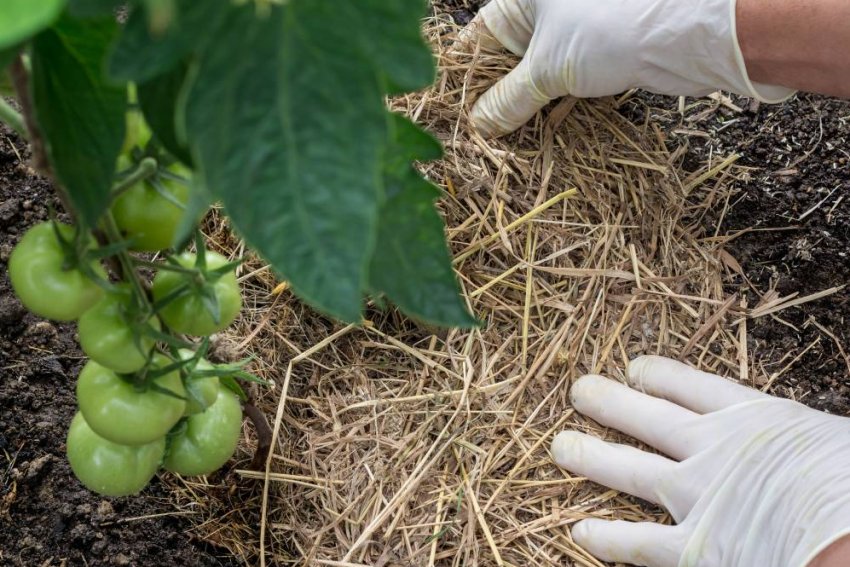 Розпушування грунту Розпушування грунту