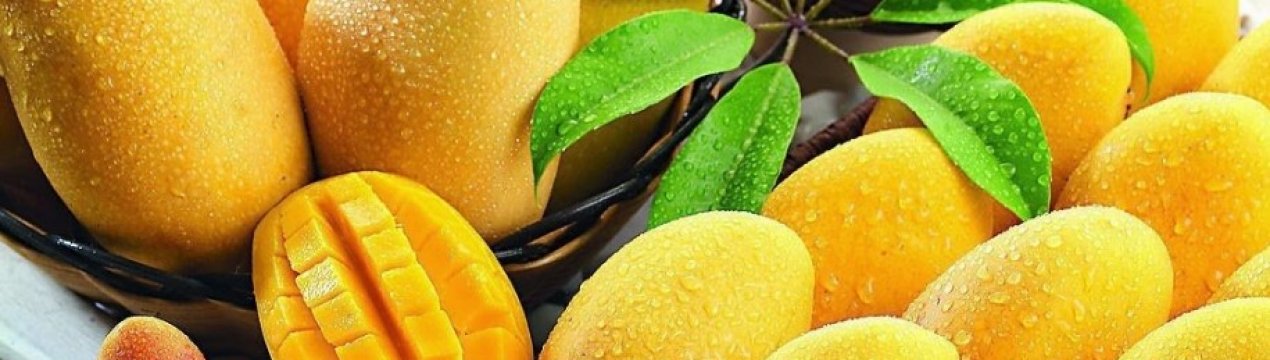 Перший у світі автоматичний комбайн для манго винайдений в Австралії