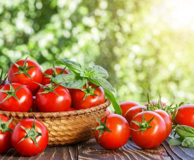 Пенсіонер з Британії виростив диво-томат