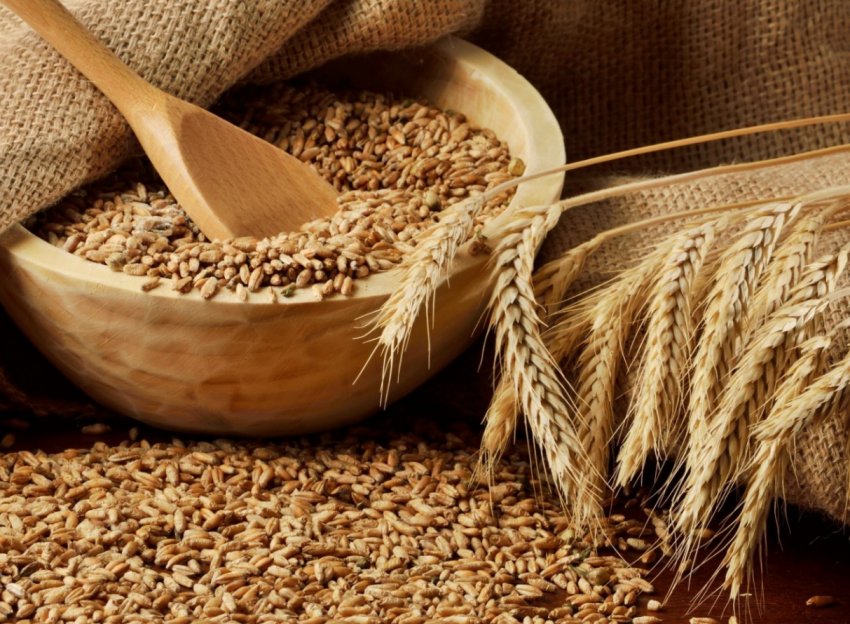 В Кіровоградській області фермери протестували проти низьких закупівельних цін на зерно