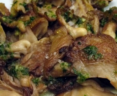 Як готувати смажені сироїжки