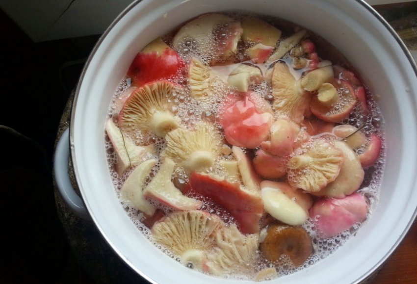 Підготовка грибів Підготовка грибів