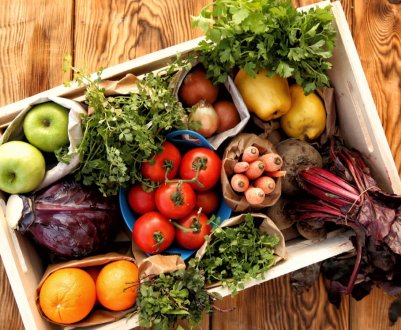 Органічні салати почали вирощувати у Львівській області