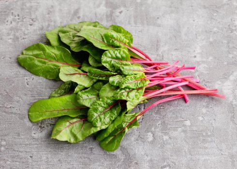 Бадилля буряка: корисні властивості і шкоду