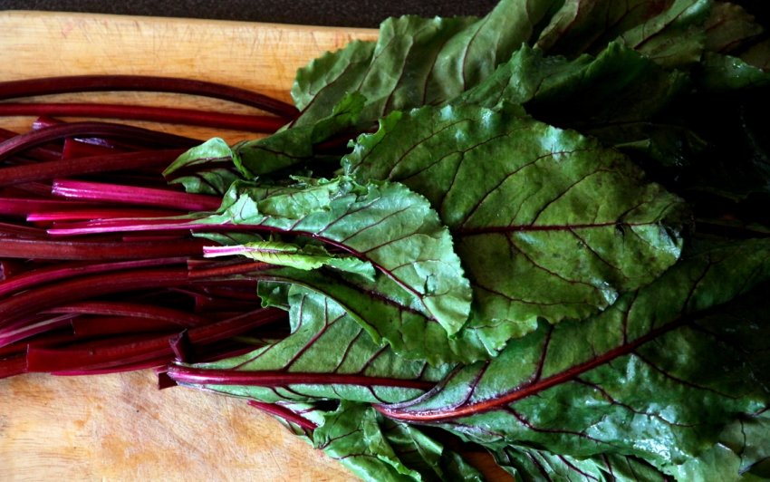 Бурякова гичка