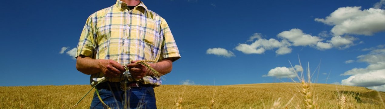 Голландські фермери протестують проти закриття неефективних ферм