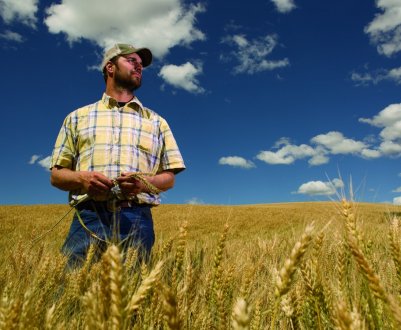 Голландські фермери протестують проти закриття неефективних ферм