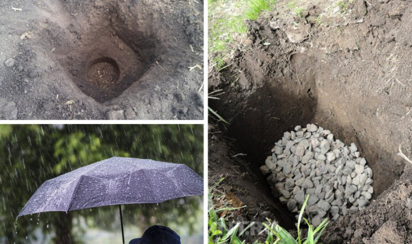 Підготовка грунту до посадки