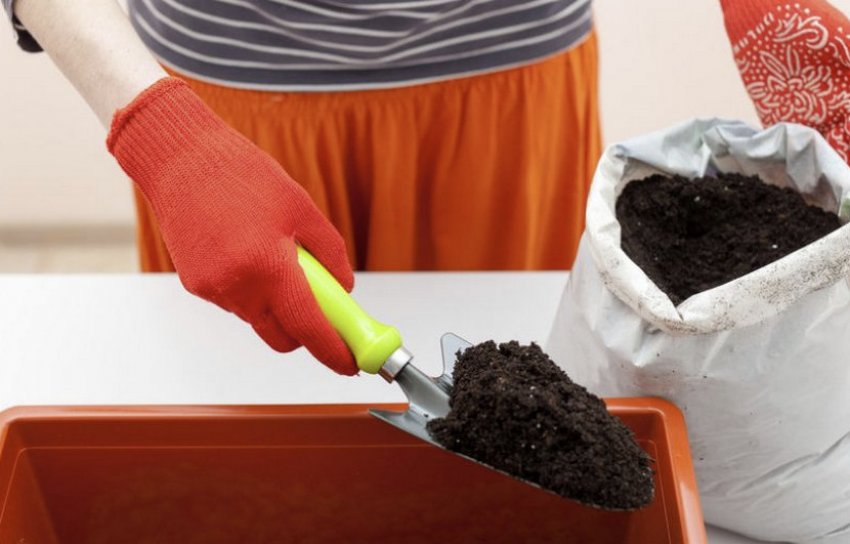 Грунт для розсади