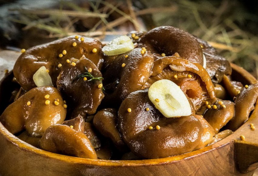 Сухий засол Сухий засол