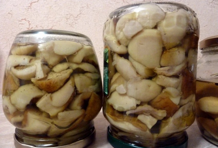 Під гнітом Під гнітом