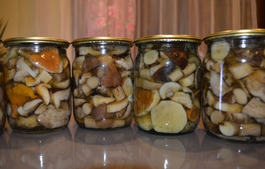 У відрі У відрі