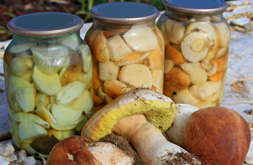 З імбиром З імбиром