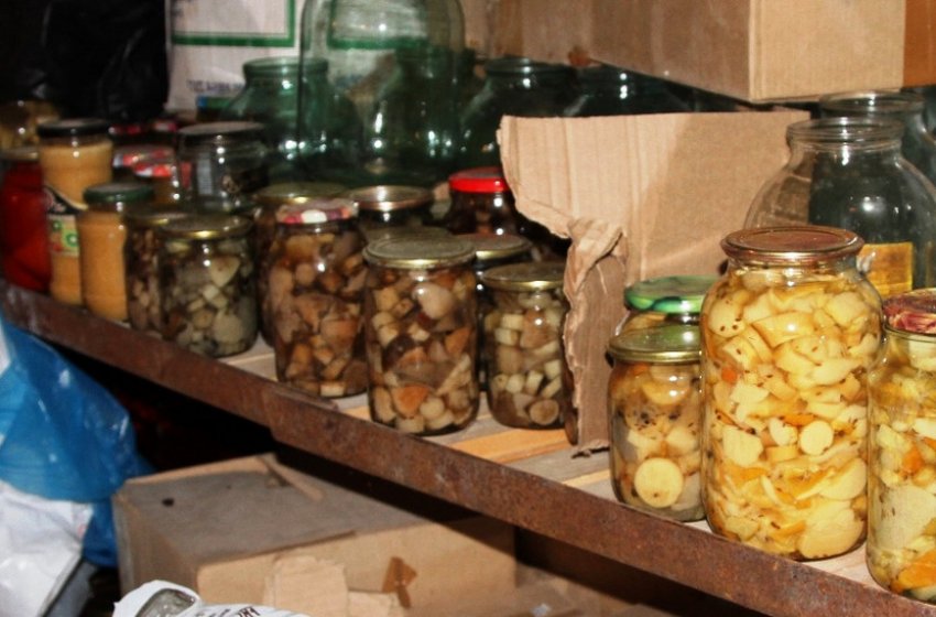 Гриби в підвалі Гриби в підвалі