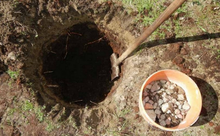 Посадкова яма