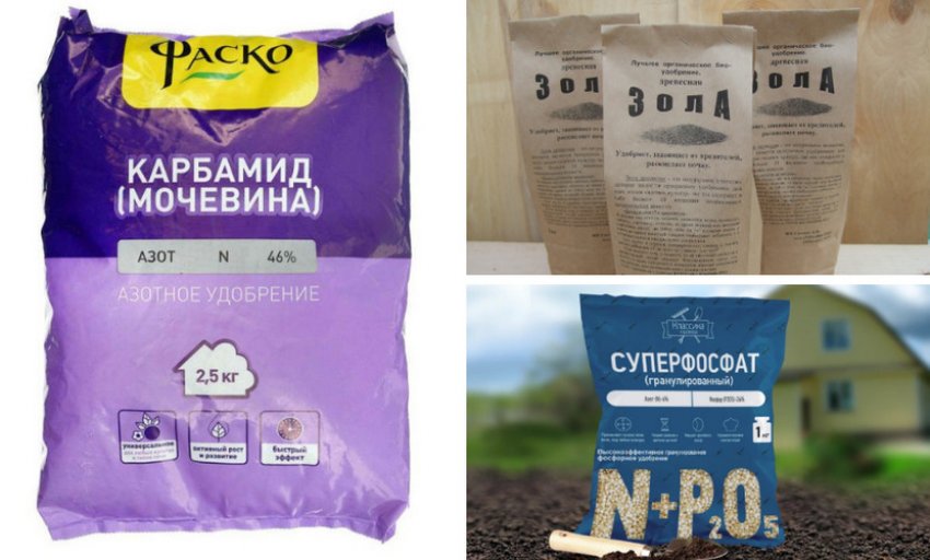 Підгодівлі для спіреї