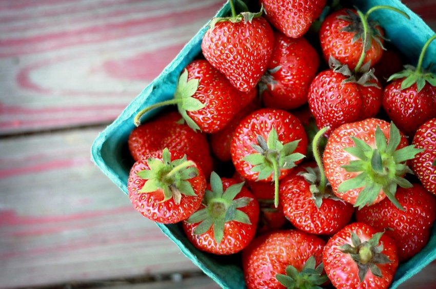 В теплицях Інгушетії почнеться цілорічне виробництво полуниці В теплицях Інгушетії почнеться цілорічне виробництво полуниці