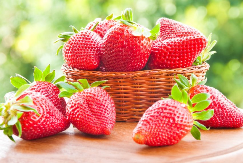 В теплицях Інгушетії почнеться цілорічне виробництво полуниці В теплицях Інгушетії почнеться цілорічне виробництво полуниці