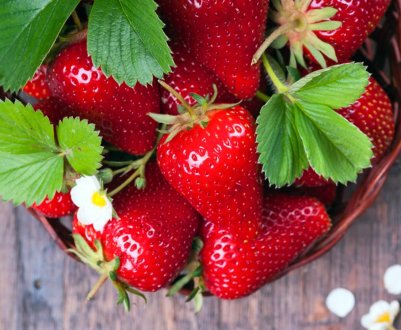 У теплицях Інгушетії почнеться цілорічне виробництво полуниці 