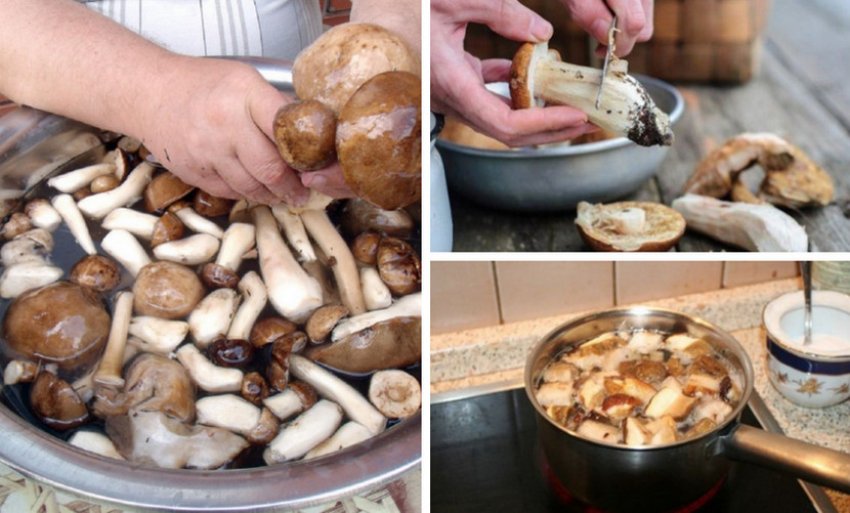 Процес підготовки боровиків до маринування