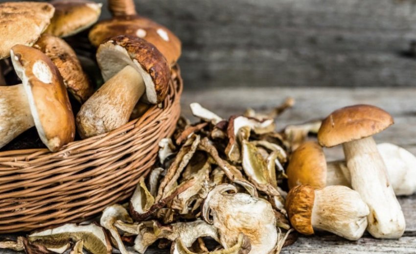 Сушені білі гриби