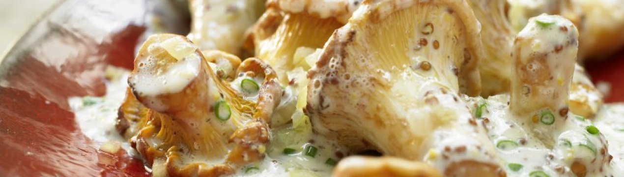 Як приготувати соус із лисичок