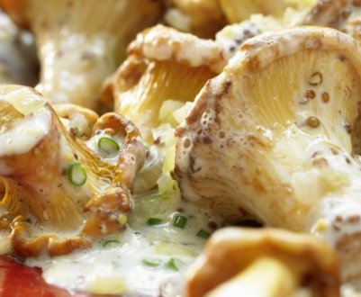 Як приготувати соус із лисичок