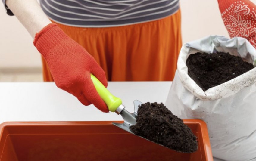 Грунт для розсади Грунт для розсади