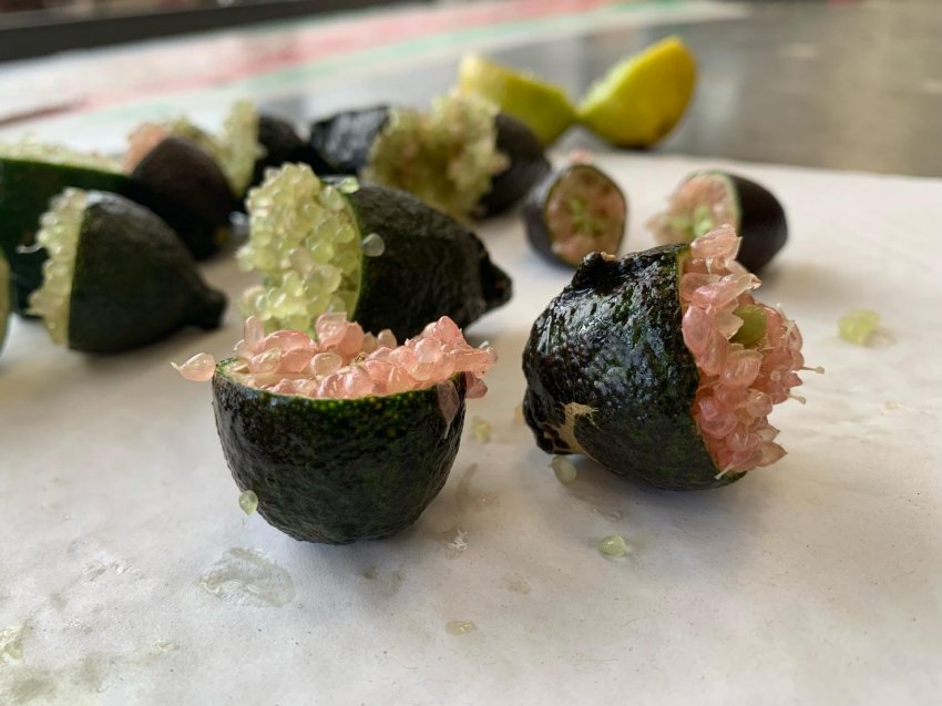 В теплицях Франції встигають екзотичні фрукти В теплицях Франції встигають екзотичні фрукти