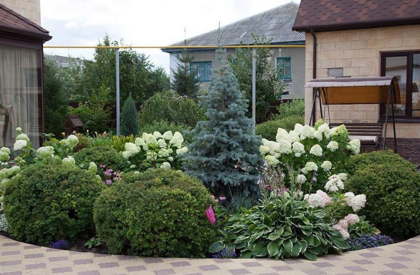 Ялина з квітами