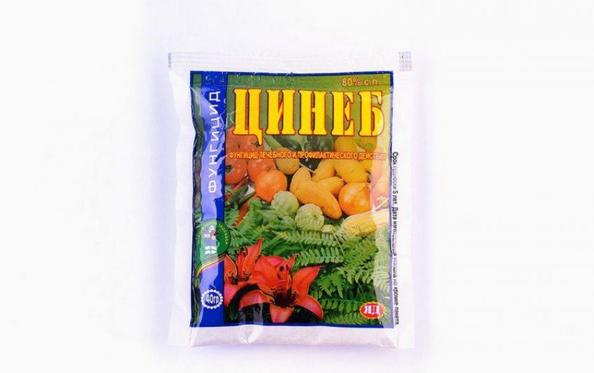 Чем подкормить ирисы осенью после обрезки. Смотреть фото Чем подкормить ирисы осенью после обрезки. Смотреть картинку Чем подкормить ирисы осенью после обрезки. Картинка про Чем подкормить ирисы осенью после обрезки. Фото Чем подкормить ирисы осенью после обрезки