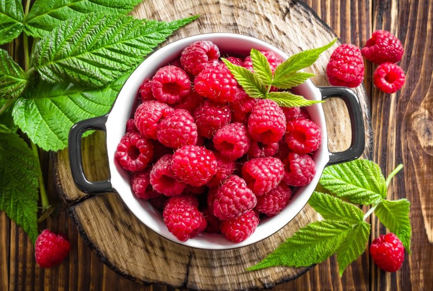 Тонни вирощених у Великобританії фруктів пропали через брак робочих