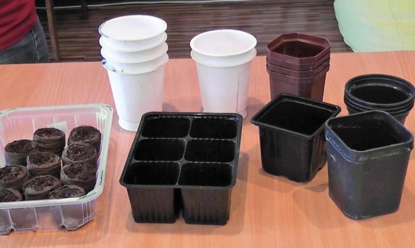 Ємність для вирощування