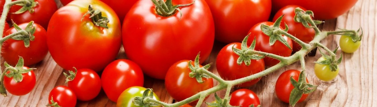 Ставропольський виробник збільшує потужності по виробництву томатів