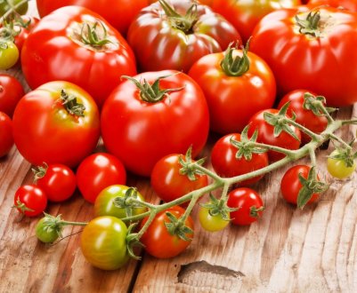 Ставропольський виробник збільшує потужності по виробництву томатів