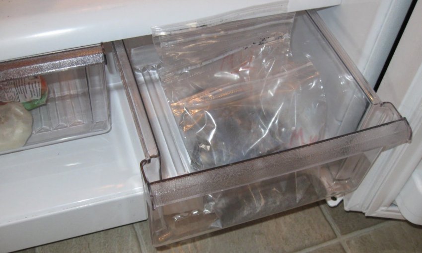 Стратифікація цибулин Стратифікація цибулин