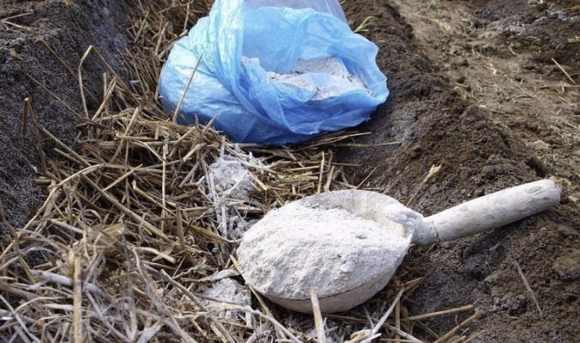 Подкормка золой Подкормка золой
