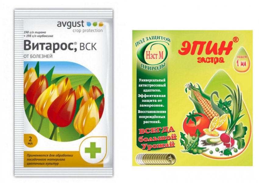 «Витарос» і «Епін» «Витарос» і «Епін»