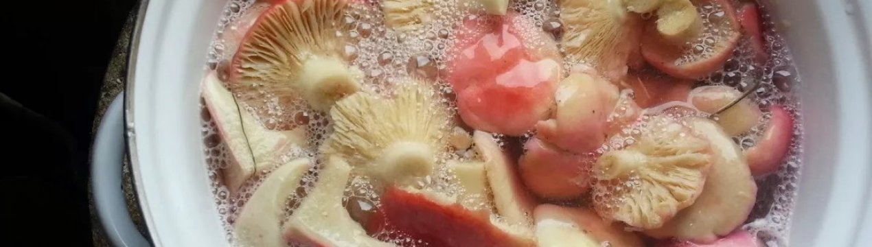 Страви із сироїжок