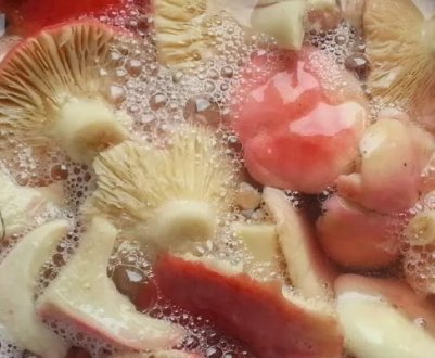 Страви із сироїжок