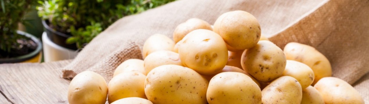 Глобальне потепління наздогнало картопляних фермерів Німеччини