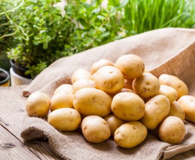 Глобальне потепління наздогнало картопляних фермерів Німеччини