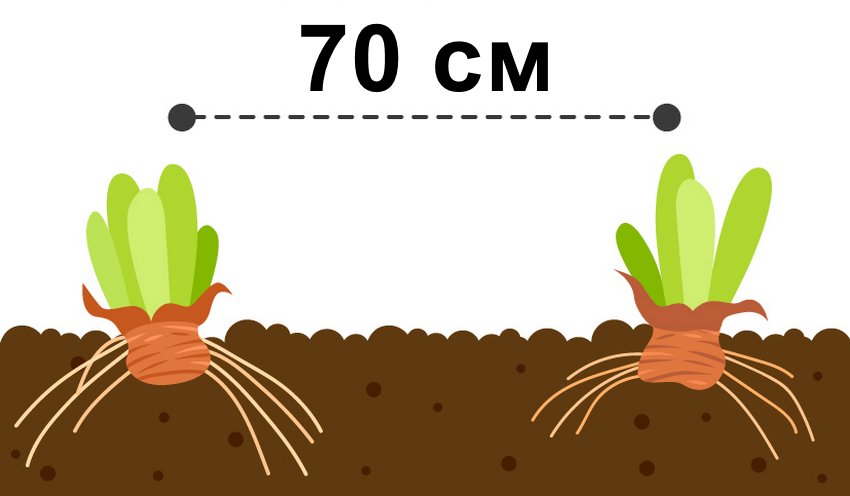 Відстань при посадці Відстань при посадці