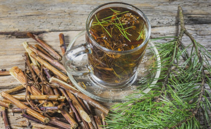 Сосновий відвар